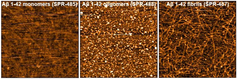 Amyloid Beta 1-42 Oligomers - image 5