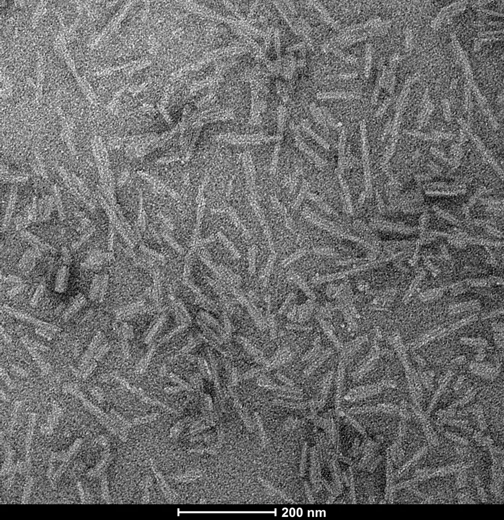 Tau-441 (2N4R) and Alpha Synuclein Co-Polymer Fibrils - image 1