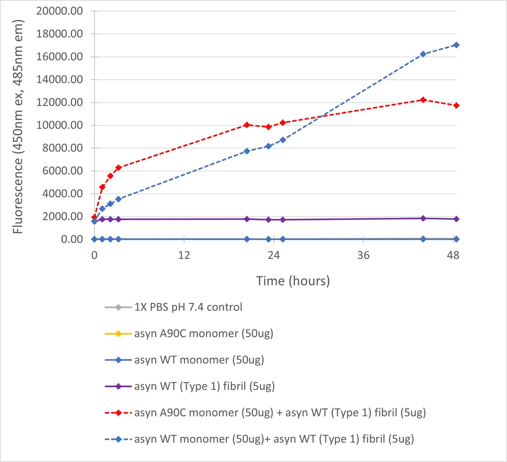 Alpha Synuclein A90C Mutant Monomers - image 5