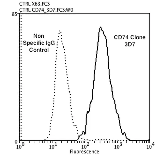 CD74 Antibody - image 1