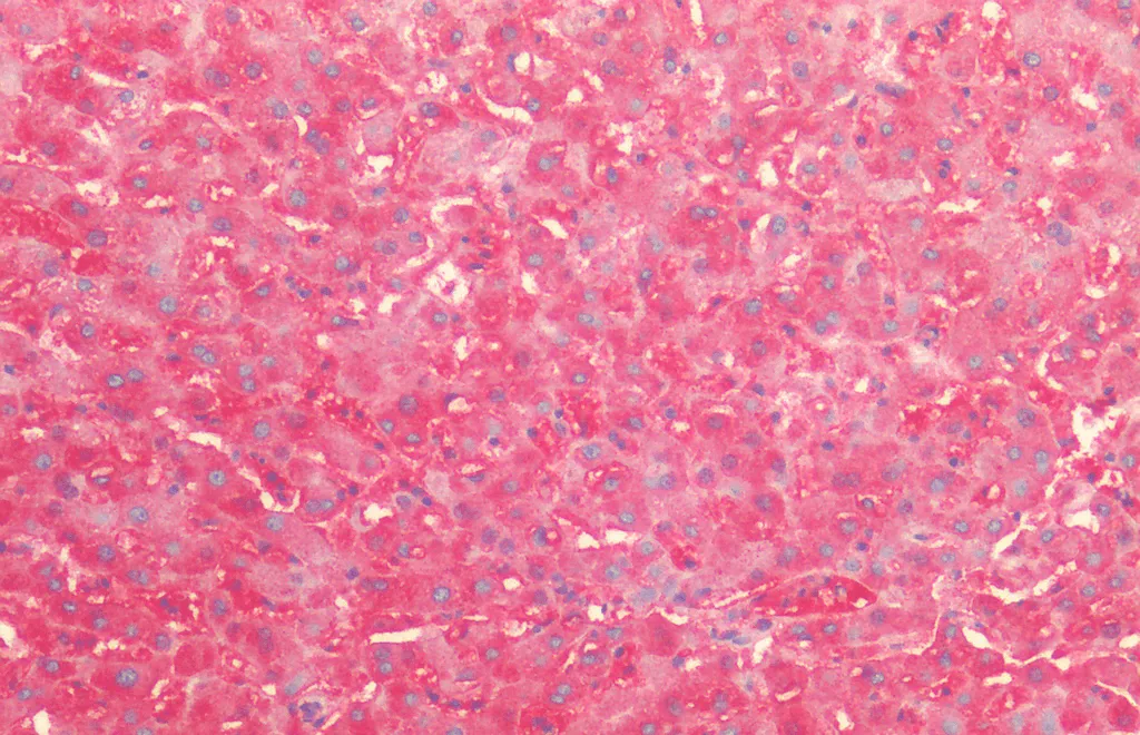 HSP60 (P. falciparum) Antibody: PerCP - image 1