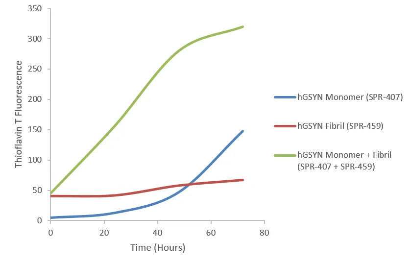 Gamma Synuclein Monomers - image 1