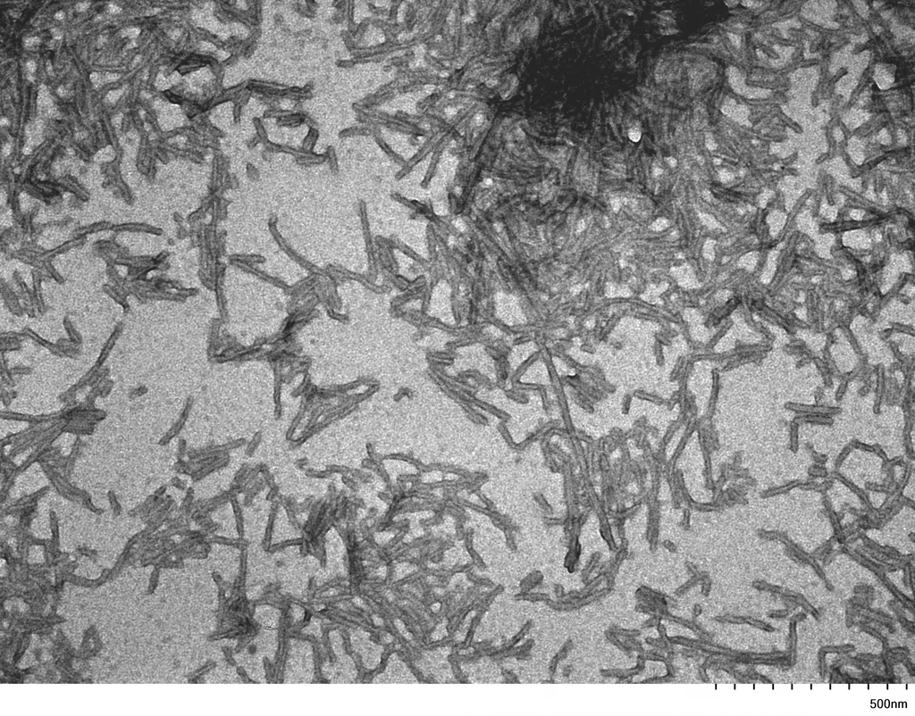 Tau-441 (2N4R) P301S Mutant Filaments - image 1