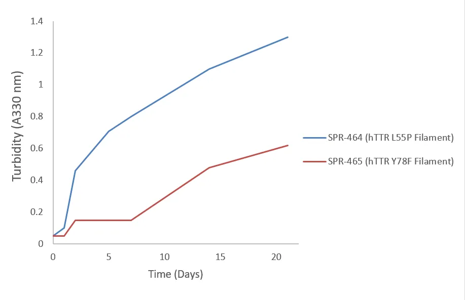 Transthyretin L55P Variant Filaments - image 2