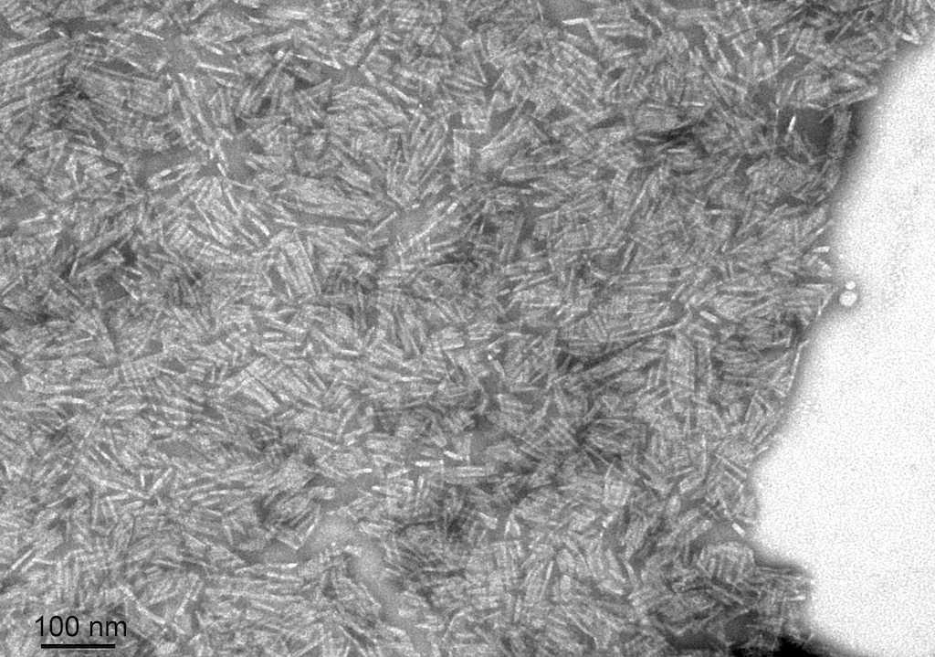 Transthyretin L55P Variant Filaments - image 1