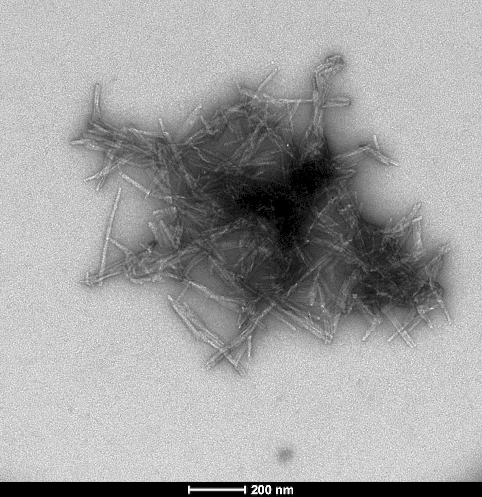 Superoxide dismutase Pre-formed Fibrils - image 1