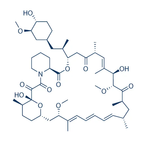 Rapamycin - image 1