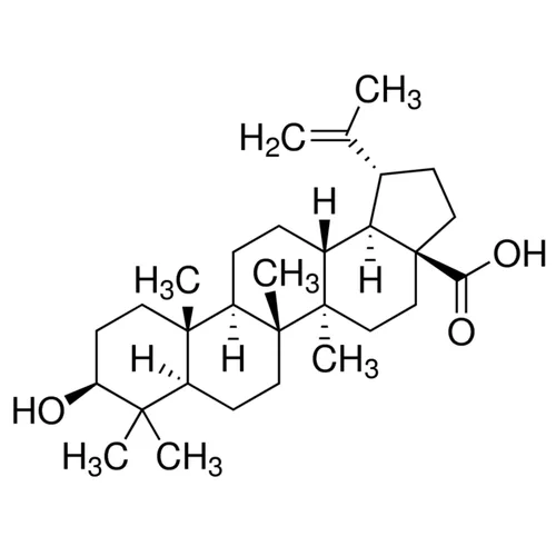 Betulinic Acid - image 1
