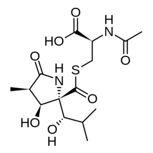 Lactacystin - image 1