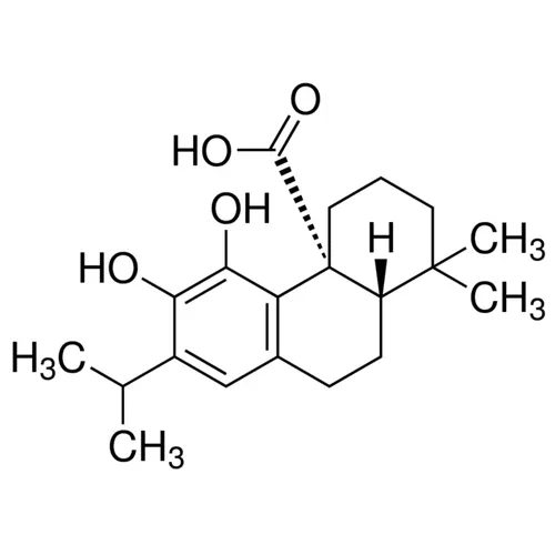 Carnosic acid - image 1