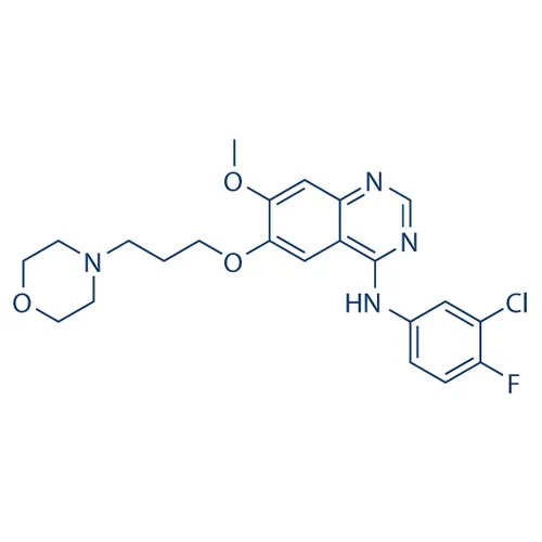 Gefitinib - image 1