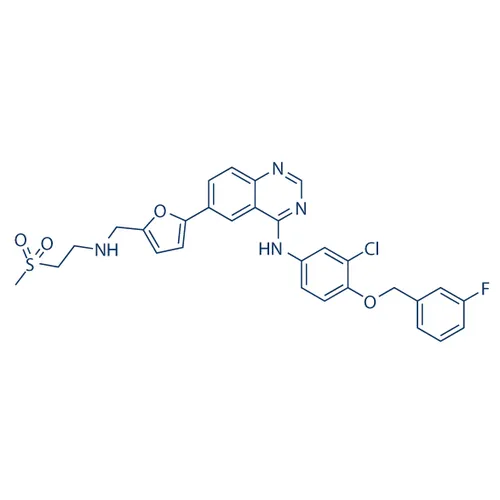 Lapatinib - image 1