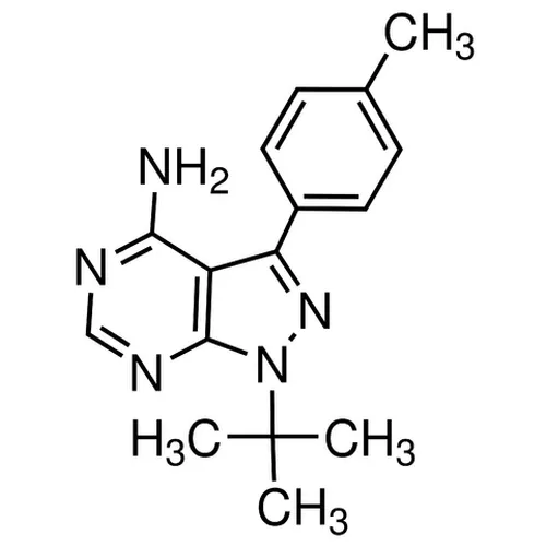 PP1 - image 1
