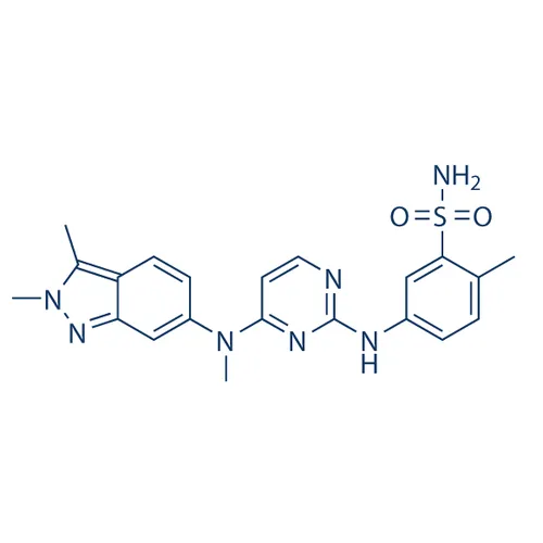 Pazopanib - image 1