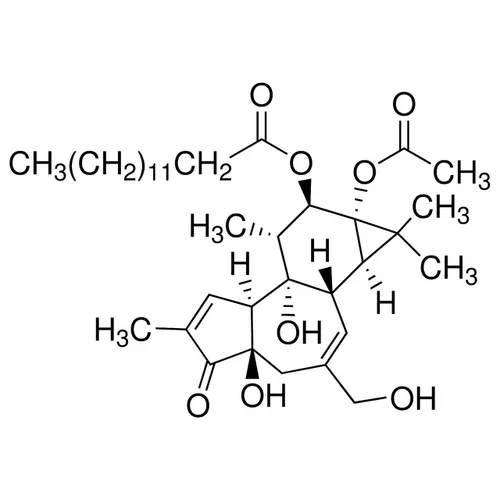 PMA - image 1