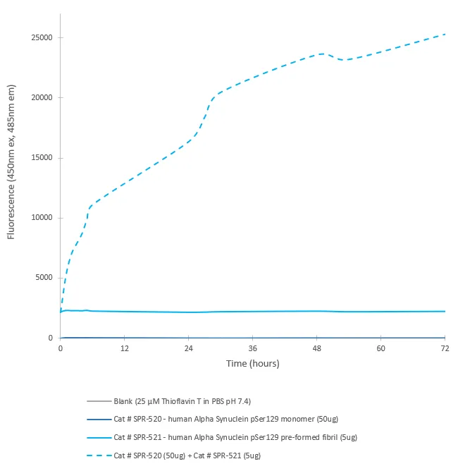 Alpha Synuclein pSer129 Monomers - image 4