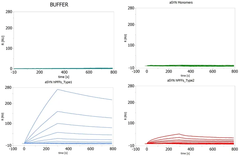 Alpha Synuclein Antibody (Aggregate-Specific): RPE - image 2