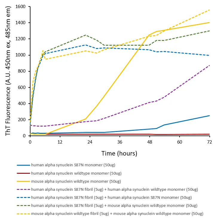 Alpha Synuclein S87N Mutant Monomers - image 2