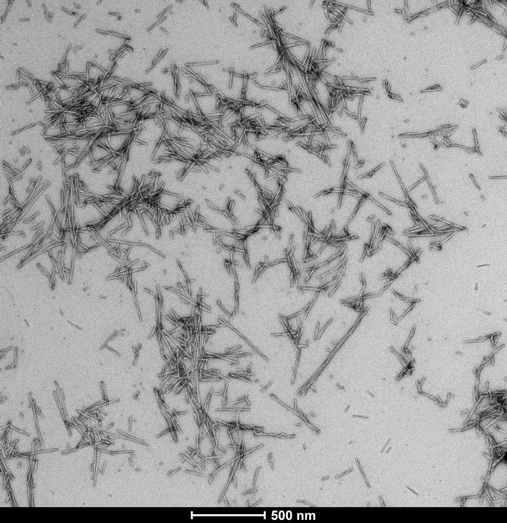 Alpha Synuclein S87N Mutant Pre-formed Fibrils - image 6