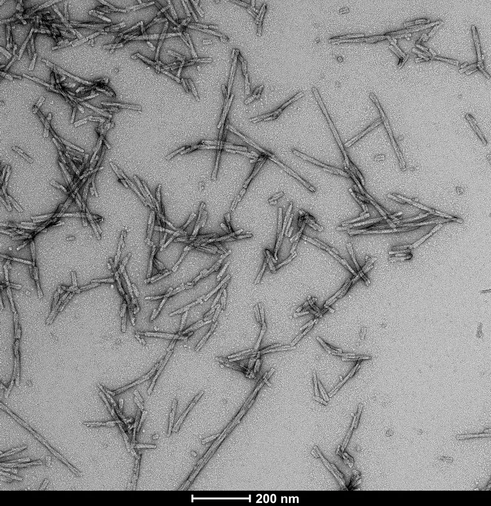 Alpha Synuclein S87N Mutant Pre-formed Fibrils - image 1
