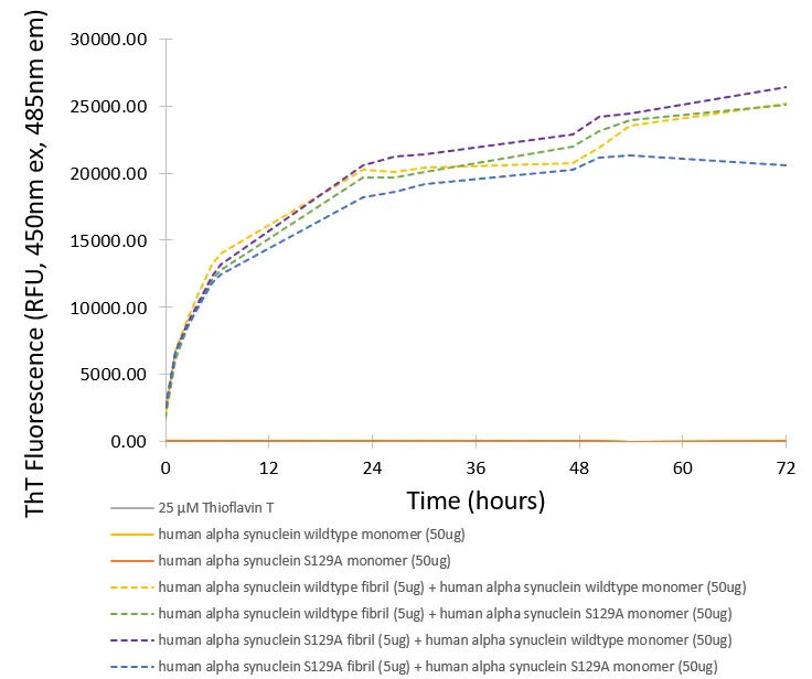 Alpha Synuclein S129A Mutant Monomers - image 2