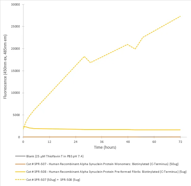 Alpha Synuclein Monomers: Biotinylated (C-terminus) - image 3