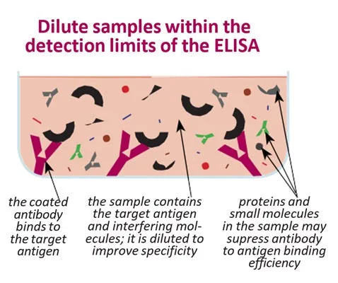 General Serum Diluent - image 1