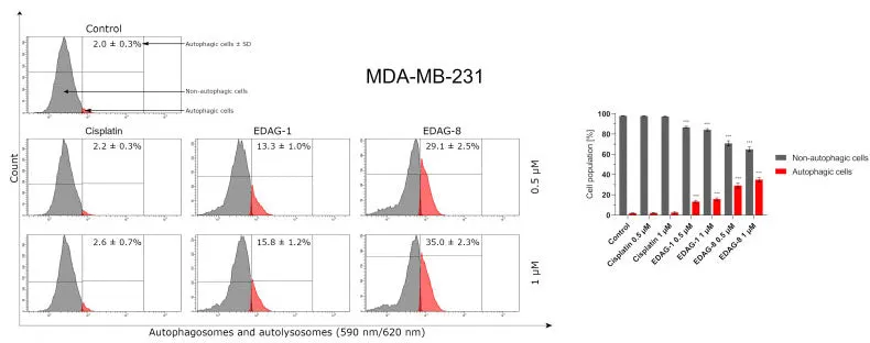 Autophagy Assay - Red Fluorescent - image 1