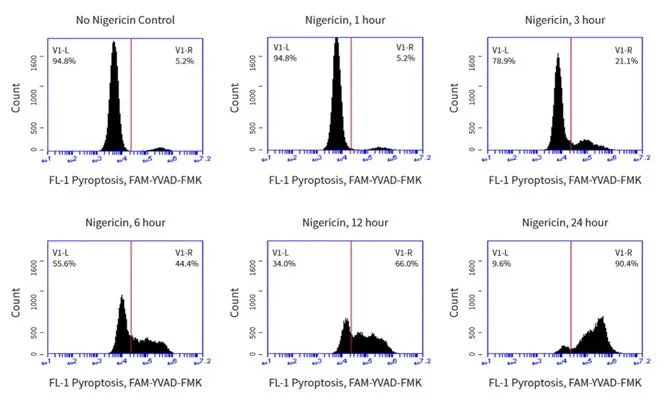 Pyroptosis/Caspase-1 Assay - Green Fluorescent - image 1
