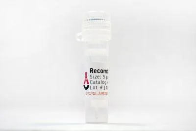 Recombinant Human IL-17A - image 1