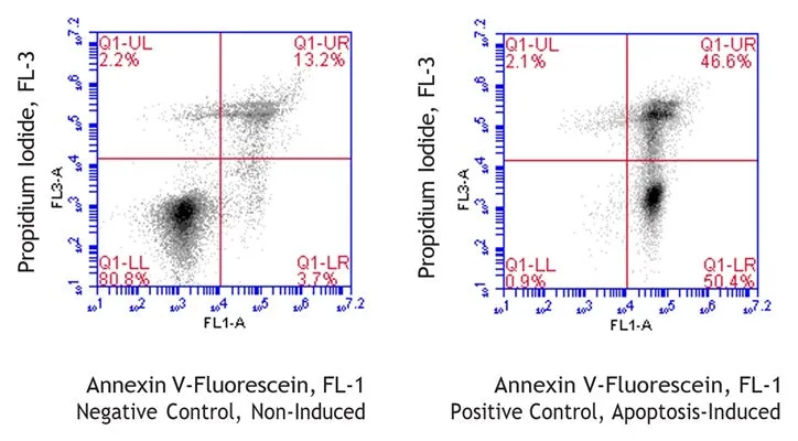 Chicken Annexin V-Fluorescein Apoptosis Assay Kit - image 1
