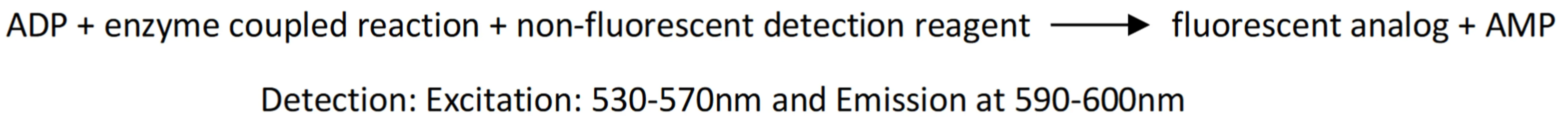 Fluorescent ADP Detection Kit - image 1