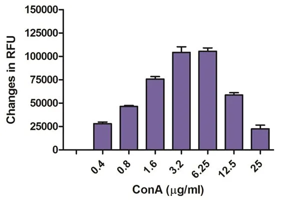 Fluorescent Cell Proliferation Assay - image 1