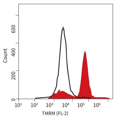 TMRE - Orange Fluorescent Mitochondrial Membrane Depolarization Assay - image 1