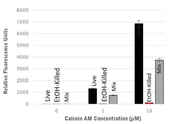Basic Calcein AM Cell Viability Kit - image 1