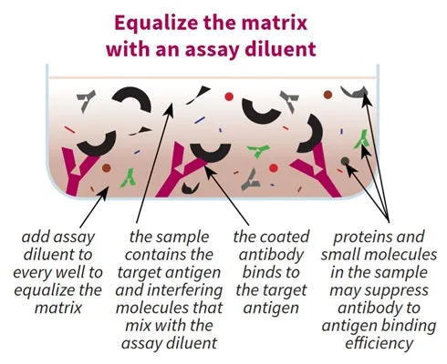 General Assay Diluent - image 1