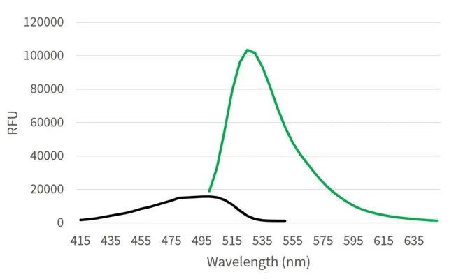 Green Fluorescent Cathepsin B Assay - image 1