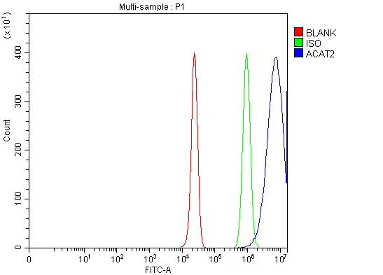 Anti-ACAT2 Antibody Picoband®