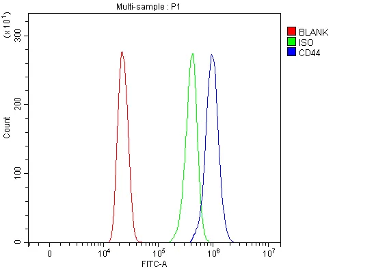 Anti-CD44-antigeen CD44 Antibody Picoband®