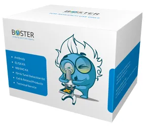 Caspase-2 activiteitsset