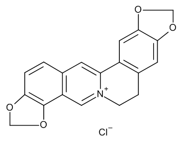 Coptisine Chloride - image 1