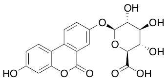 Urolithin A Glucuronide - image 1