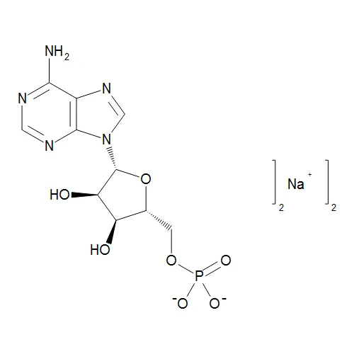 Adenosine 5'-Monophosphate Disodium Salt - image 1