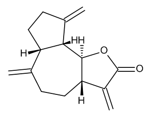 Dehydrocostus Lactone - image 1