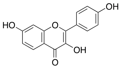 3,7,4'-Trihydroxyflavone - image 1