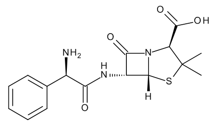 Ampicillin - image 1