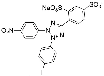 WST-1 - image 1