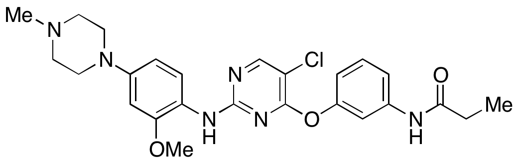 WZ4003 - image 1