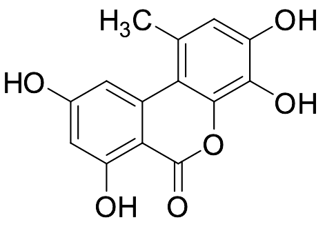 4-Hydroxy Alternariol - image 1