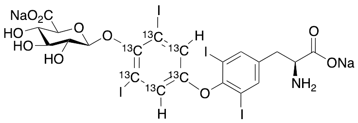Thyroxine-13C6 4’-O-Beta-D-Glucuronide Disodium Salt - image 1